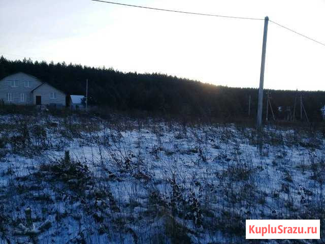  Кочкурово - изображение 1