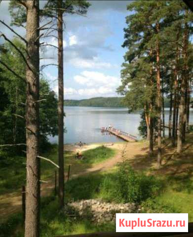 Коттедж 80 кв.м. на участке 16 сот. Сосново - изображение 1