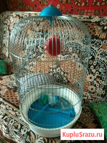 Клетка для попугаев Тихвин - изображение 1