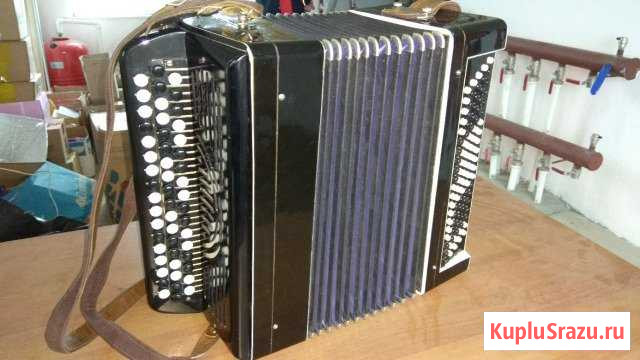 Баян Брянск - изображение 1