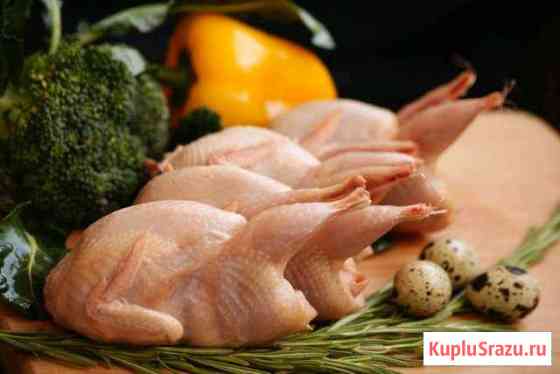 Мясо перепелов Ковров