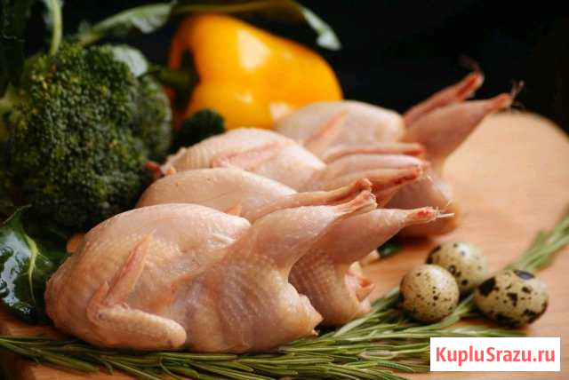 Мясо перепелов Ковров - изображение 1