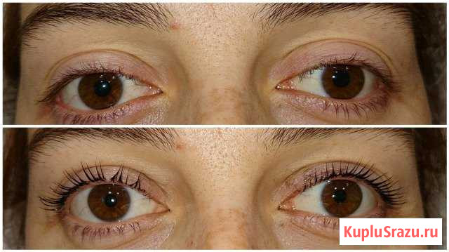 Коллагенирование LVL Lashes ресниц и бровей, ламин Мурманск - изображение 1