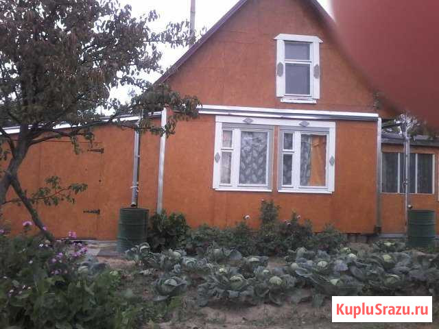 Дача 67 кв.м. на участке 16 сот. Десногорск - изображение 1