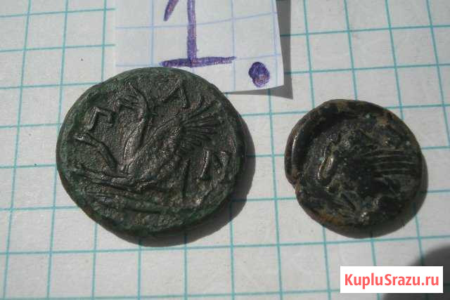 2 античных монеты Пегас и Грифон(лот-1) Пантикапей Керчь - изображение 1