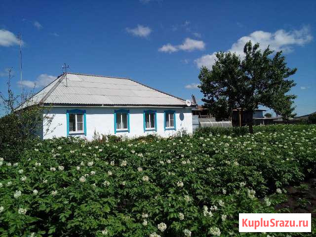 Дом 100 кв.м. на участке 15 сот. Катайск - изображение 1