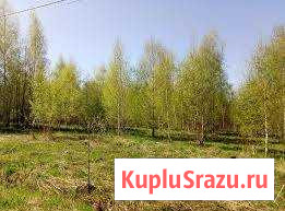  Железногорск - изображение 1