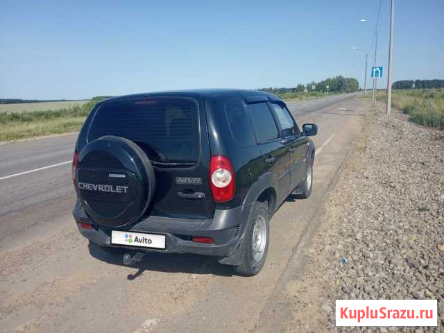 Chevrolet Niva 1.7 МТ, 2012, внедорожник Доброе - изображение 1
