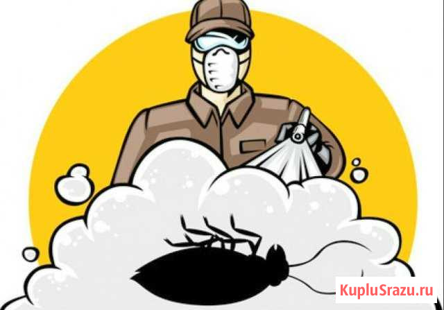 Дезинфекция в Калуге и области обработка холодным Калуга - изображение 1