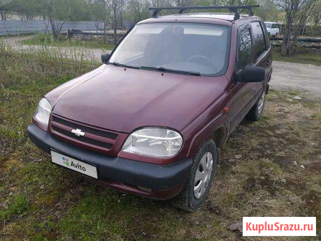 Chevrolet Niva 1.7 МТ, 2004, внедорожник Североморск-3 - изображение 1