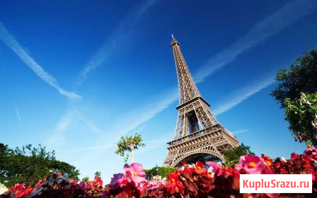 Французский, латинский, немецкий языки Рязань - изображение 1