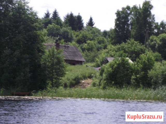 Дом 20 кв.м. на участке 50 сот. Невель - изображение 1