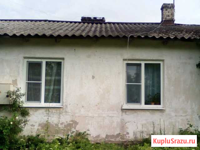 Дом 48 кв.м. на участке 1 сот. Палкино - изображение 1