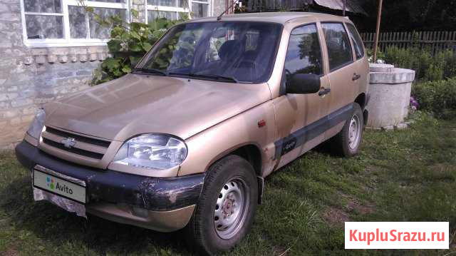 Chevrolet Niva 1.7 МТ, 2005, внедорожник Скопин - изображение 1