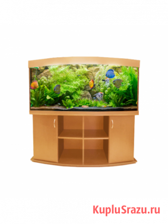 Магазин аквариумов Seaprice в Москве. Аквариумы, террариумы Москва - изображение 4