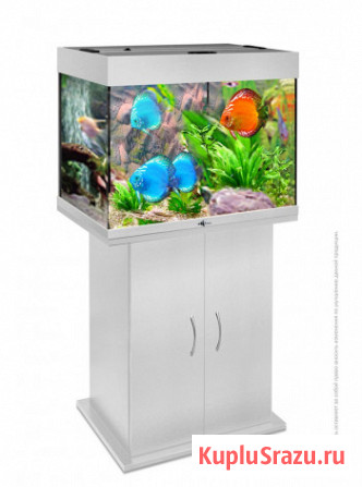 Магазин аквариумов Seaprice в Москве. Аквариумы, террариумы Москва - изображение 7