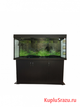 Магазин аквариумов Seaprice в Москве. Аквариумы, террариумы Москва - изображение 3