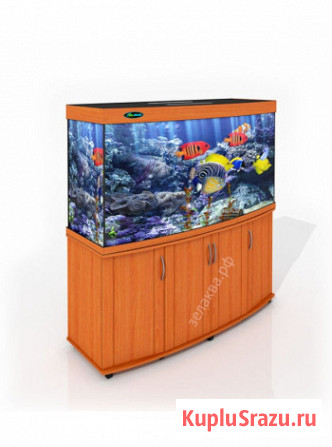 Магазин аквариумов Seaprice в Москве. Аквариумы, террариумы Москва - изображение 5