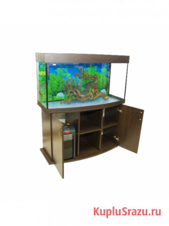 Магазин аквариумов Seaprice в Москве. Аквариумы, террариумы Москва - изображение 6