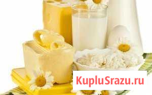 Молоко, творог, сметана, сыр Куровское - изображение 1