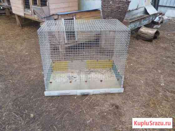 Клетки для птиц продаю Ногинск