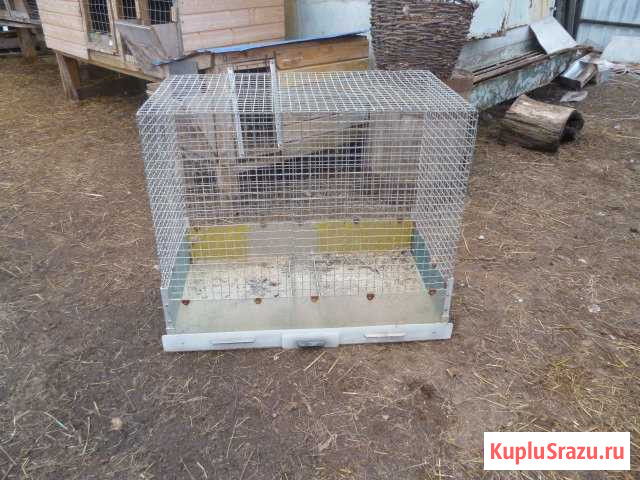 Клетки для птиц продаю Ногинск - изображение 1