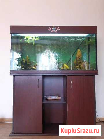 Аквариум с рыбками, полностью оборудованный+ тумба Кашира - изображение 1