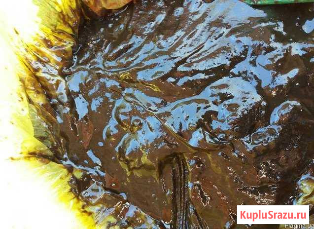 Фуз (фуза) подсолнечника Серпухов - изображение 1