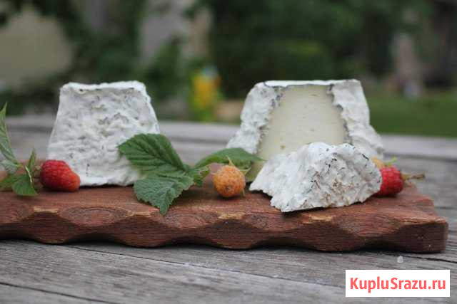 Козье молоко,сыр Истра - изображение 1