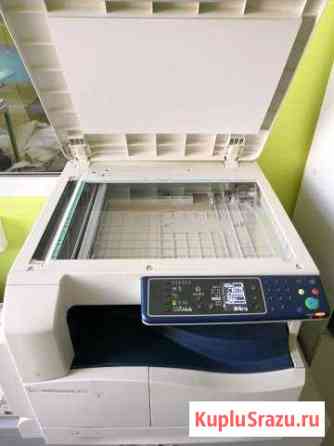 Мфу xerox WC 5019 A3 Коломна