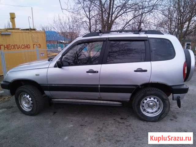 Chevrolet Niva 1.7 МТ, 2005, внедорожник Константиновск - изображение 1