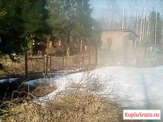  Дружная Горка