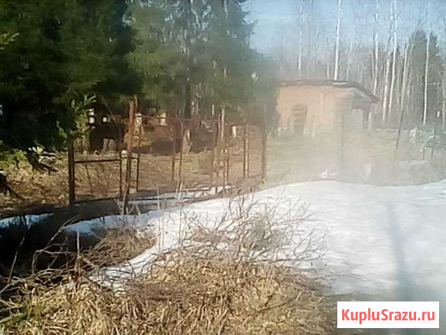  Дружная Горка - изображение 1