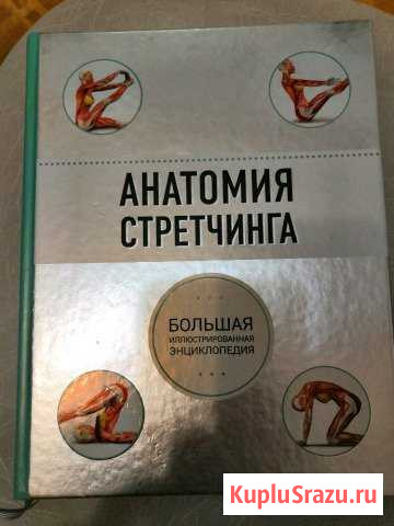 Книга Анатомия стретчинга Набережные Челны - изображение 1
