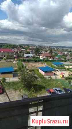  Арамиль