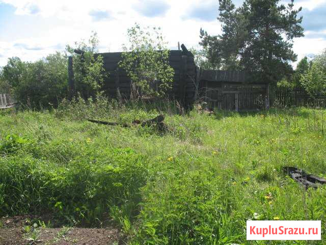  Кузино - изображение 1