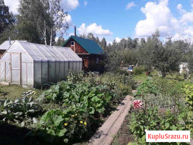  Березовский - изображение 1