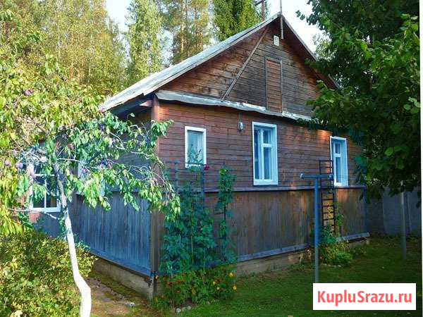 Дом 52 кв.м. на участке 6.2 сот. Сертолово - изображение 1