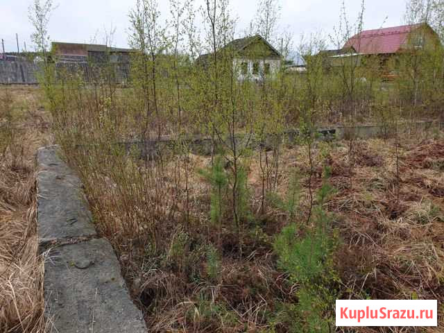  Кулебаки - изображение 1