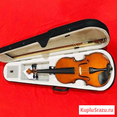 Скрипки новые в кейсе Fabio SF3900 4/4 Нижний Новгород - изображение 1