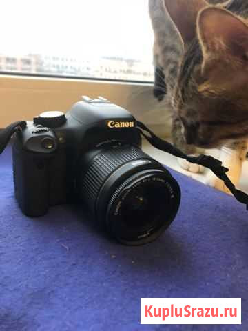 Canon 550d Налобиха - изображение 1