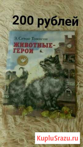 Книга Саров - изображение 1