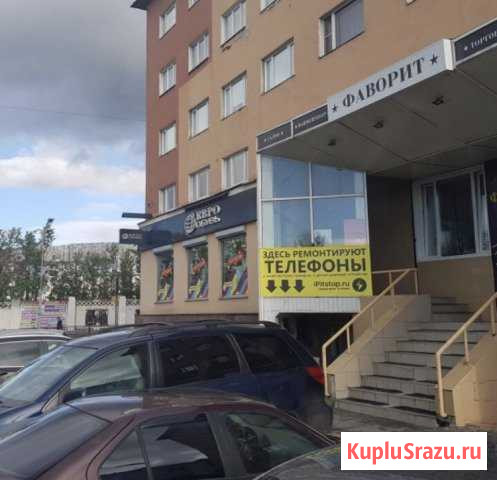 Срочный ремонт телефонов в день обращения Мурманск - изображение 1