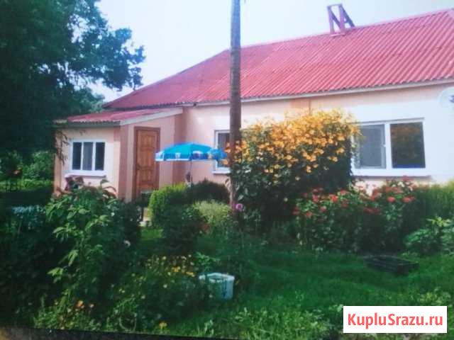Дом 41 кв.м. на участке 80 сот. Новосиль - изображение 1