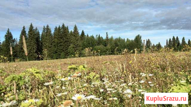  Краснокамск - изображение 1