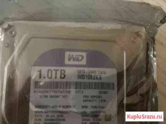 Жёсткий диск 3.5 WD 1TB (новый) Астрахань