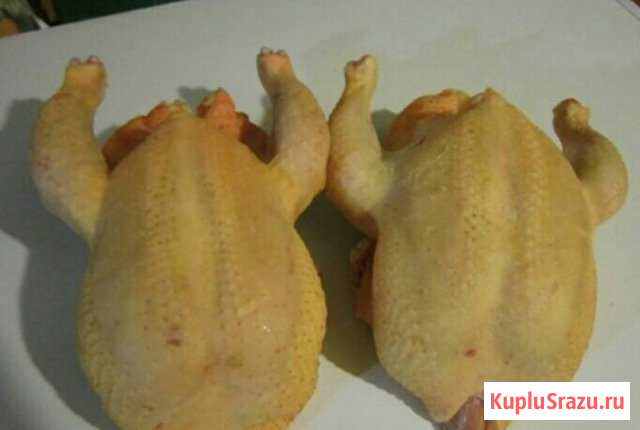 Мясо деревенских бройлеров Кушнаренково - изображение 1