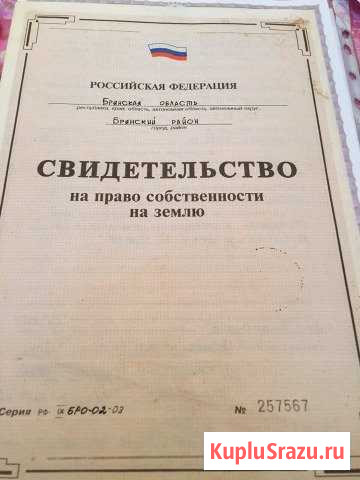  Добрунь - изображение 1
