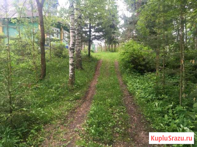 Дом 50 кв.м. на участке 17 сот. Старая Вичуга - изображение 1