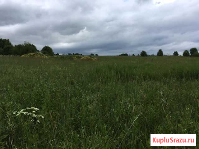  Балакирево - изображение 1
